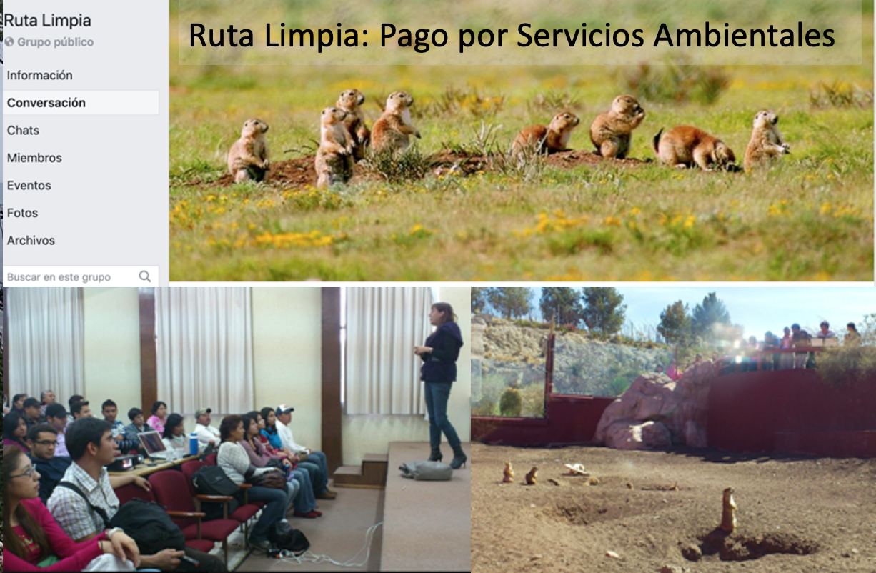 Ruta limpia a Ruta limpia a
