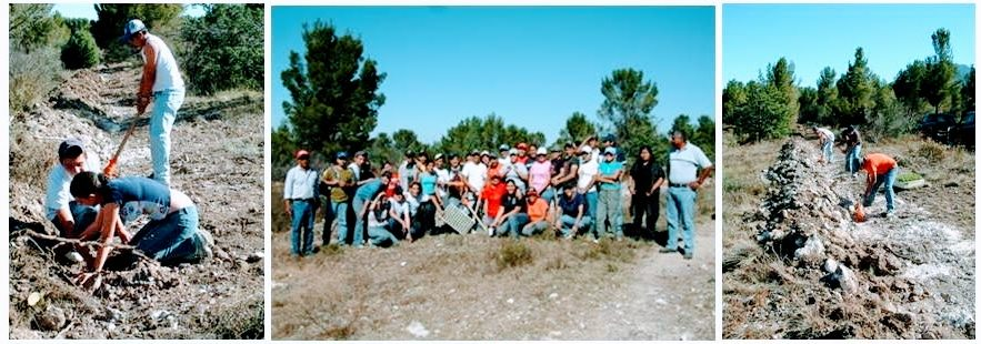 Reforestación en la UAAAN 2006 UAAAN Pinitos 2006